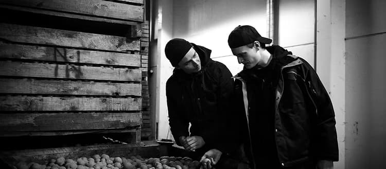 Produktionssteg: Potatis
